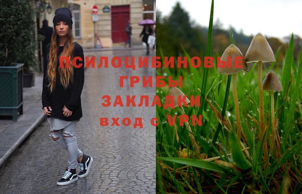 МДМА Белокуриха
