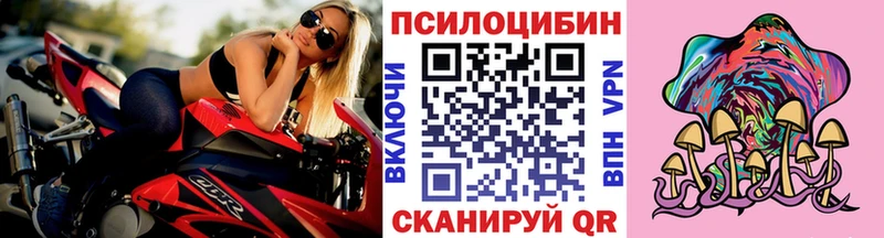 KRAKEN зеркало Пионерский Галлюциногенные грибы Magic Shrooms
