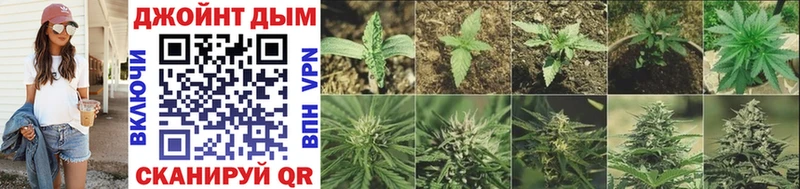 blacksprut онион  Пионерский  Марихуана конопля  где купить наркоту 